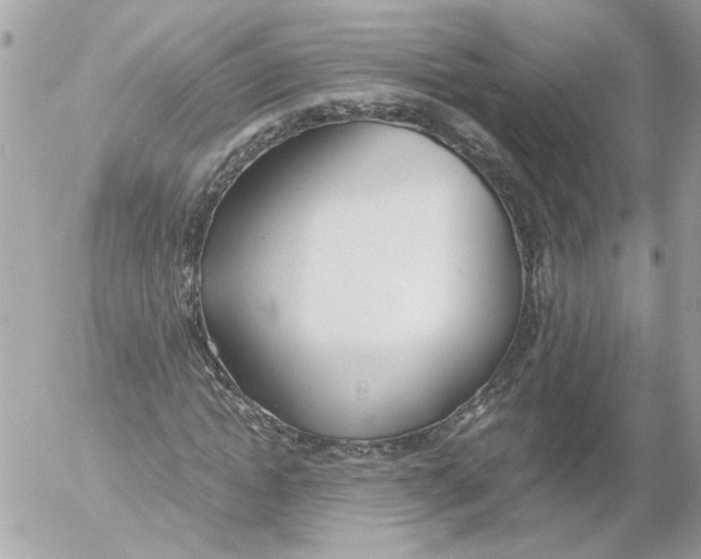 X0000052580822200507292030