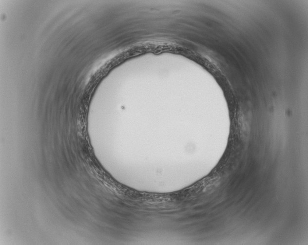 X0000052580823200507292030