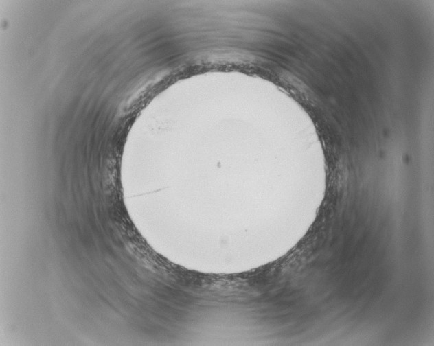 X0000052580824200507292030