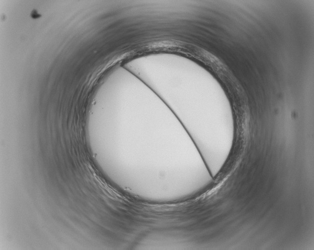 X0000052580825200507292030