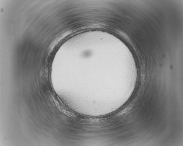 X0000052580827200507292030