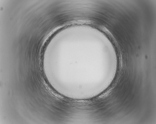 X0000052580828200507292030