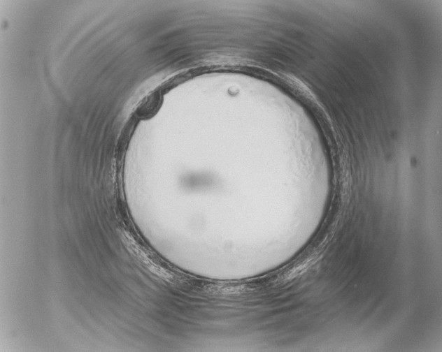 X0000052580831200507292030