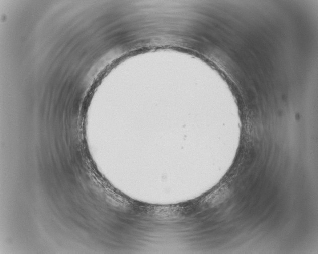 X0000052580832200507292030