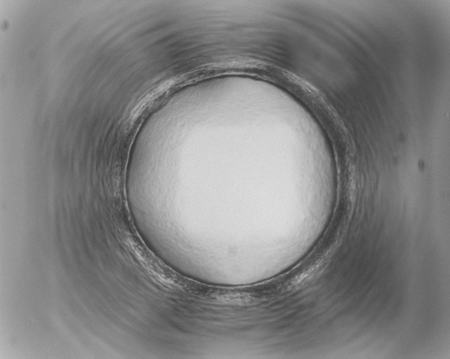 X0000052580833200507292030