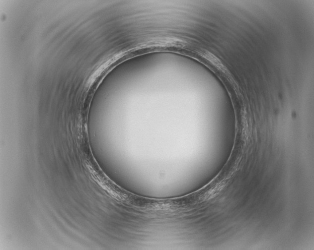 X0000052580834200507292030