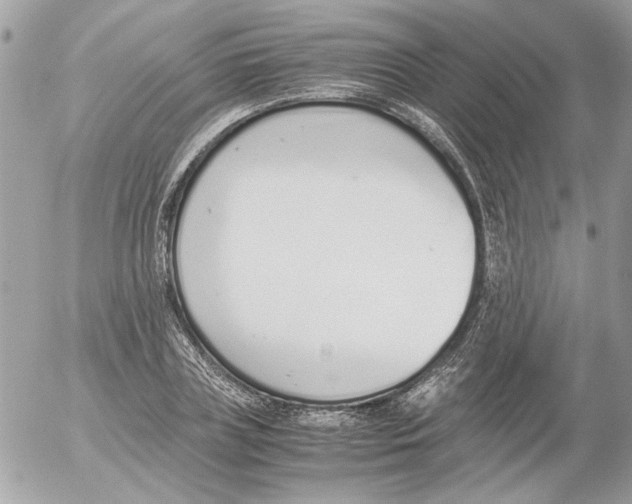 X0000052580835200507292030