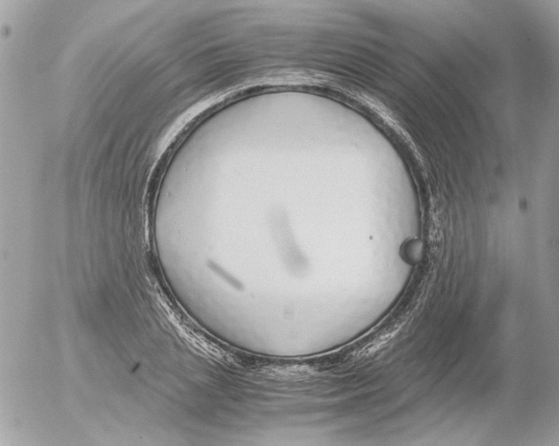 X0000052580837200507292030