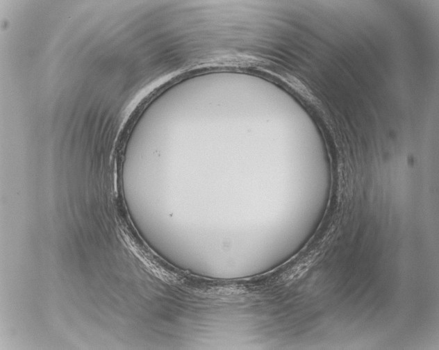 X0000052580838200507292030