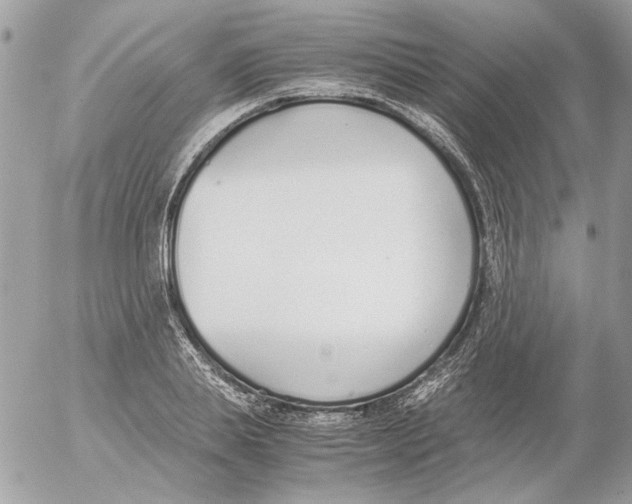 X0000052580839200507292030