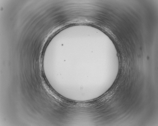 X0000052580840200507292030