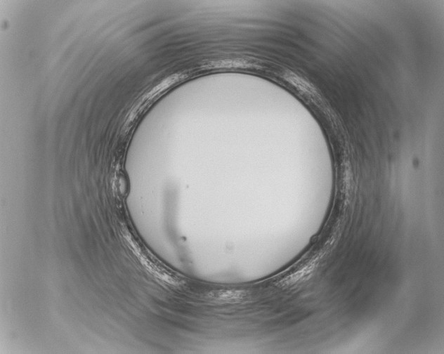 X0000052580841200507292030