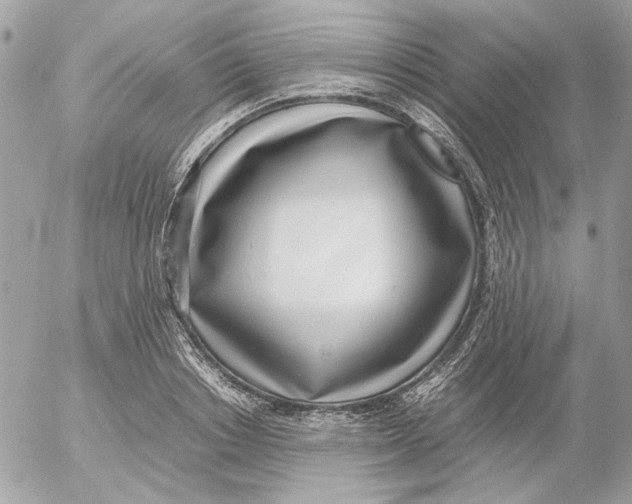 X0000052580842200507292030