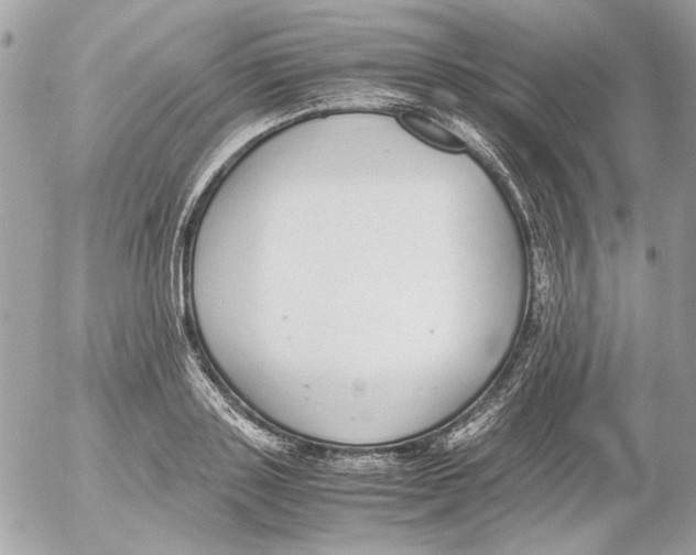 X0000052580843200507292030