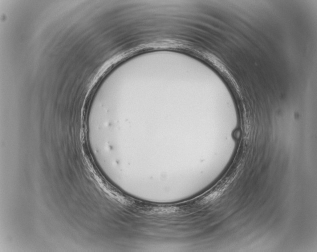 X0000052580845200507292030