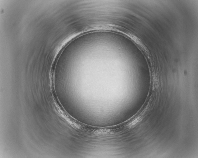 X0000052580846200507292030