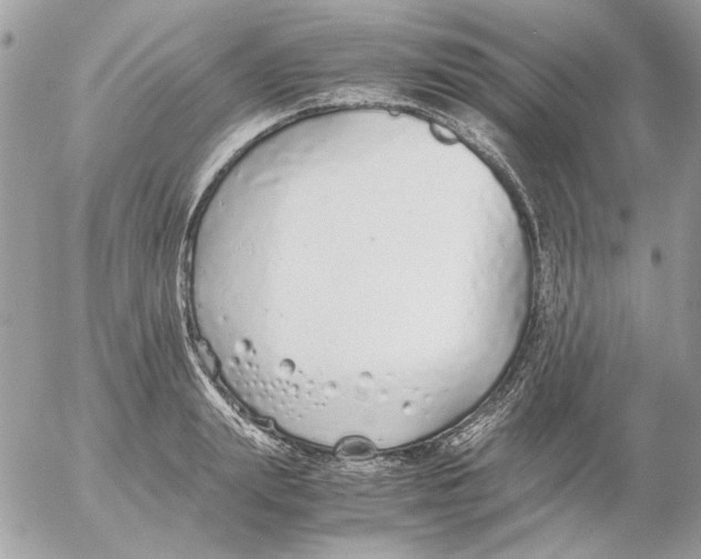 X0000052580847200507292030