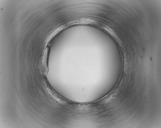 X0000052580850200507292030