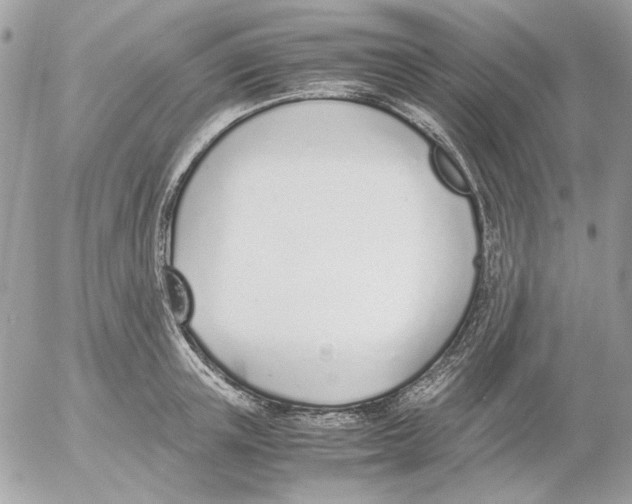 X0000052580851200507292030