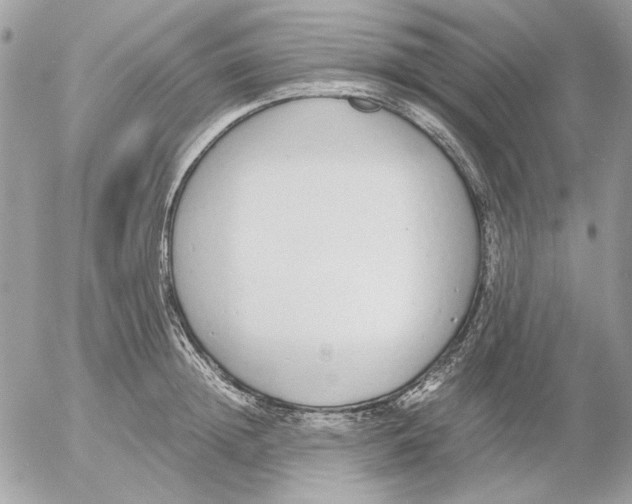 X0000052580852200507292030