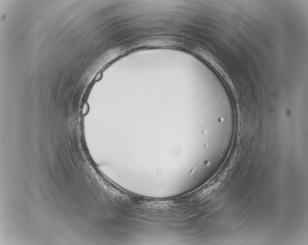 X0000052580853200507292030