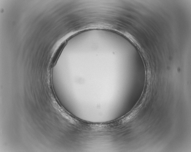 X0000052580854200507292030