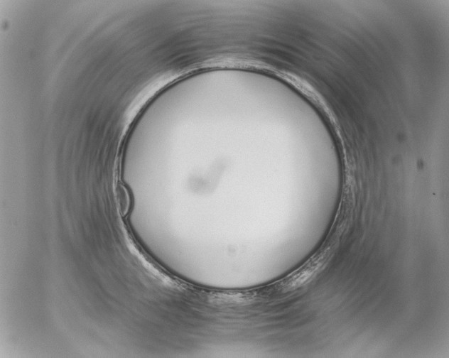 X0000052580855200507292030