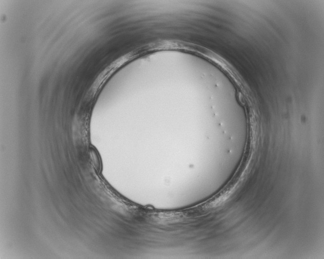 X0000052580857200507292030