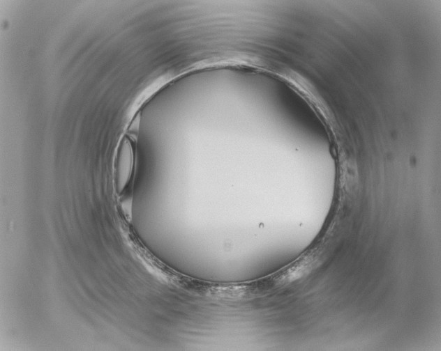 X0000052580858200507292030