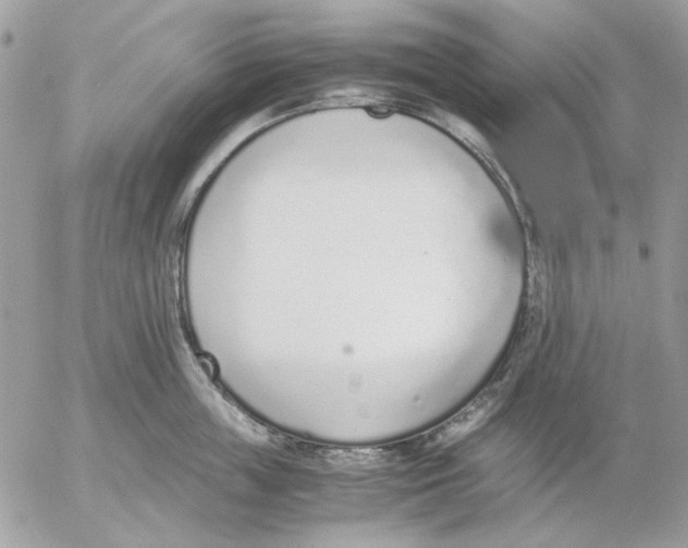 X0000052580859200507292030