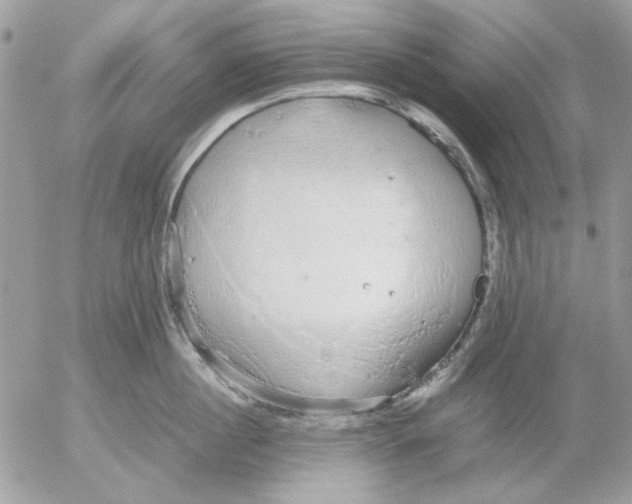 X0000052580860200507292030