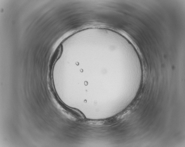 X0000052580861200507292030