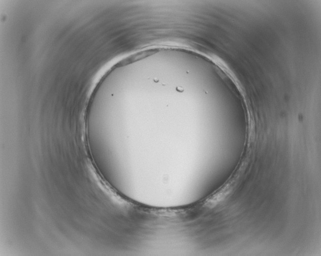 X0000052580862200507292030