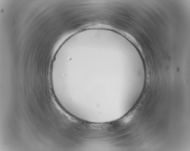 X0000052580863200507292030