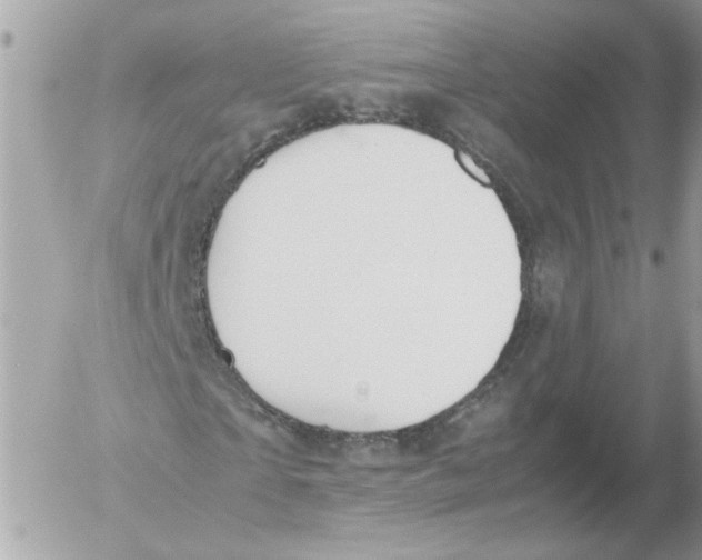 X0000052580865200507292029