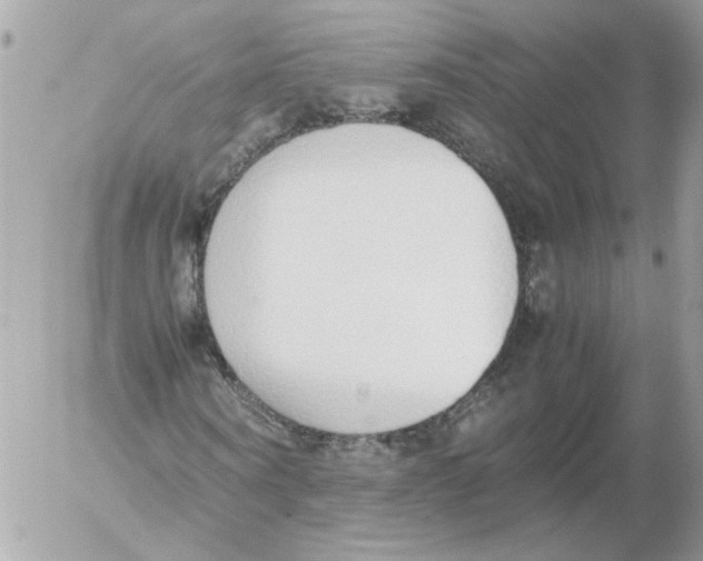 X0000052580866200507292029