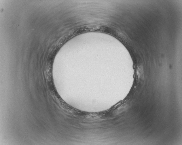 X0000052580867200507292029