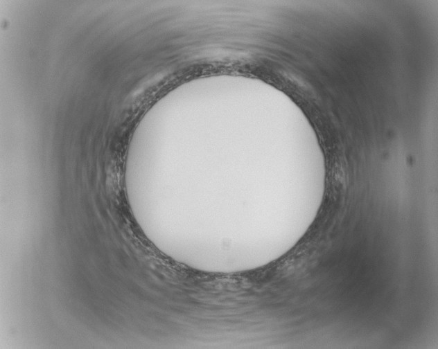 X0000052580869200507292029