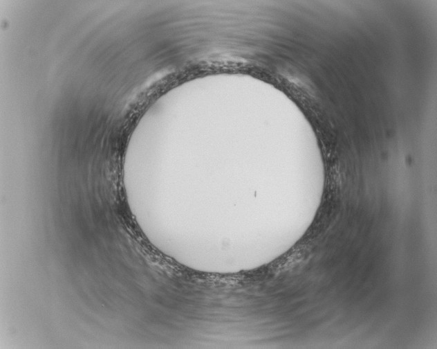 X0000052580870200507292029