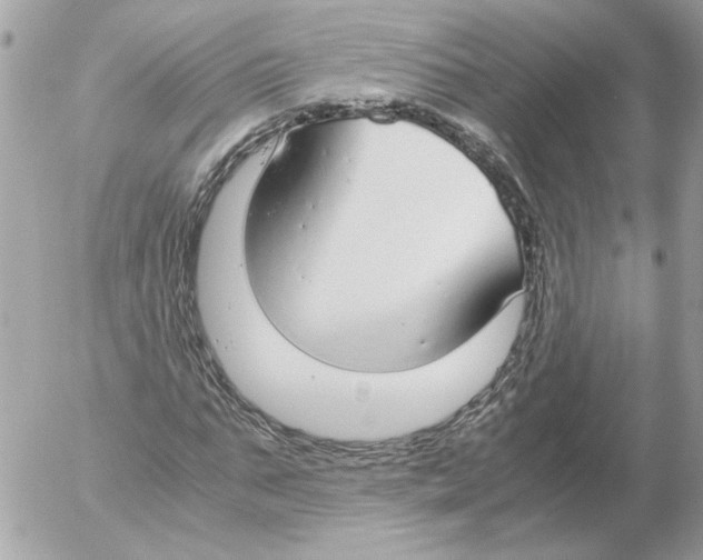 X0000052580871200507292029