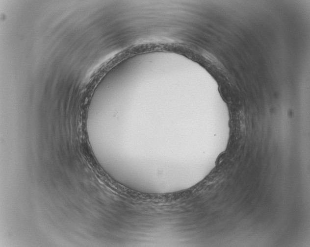 X0000052580872200507292029