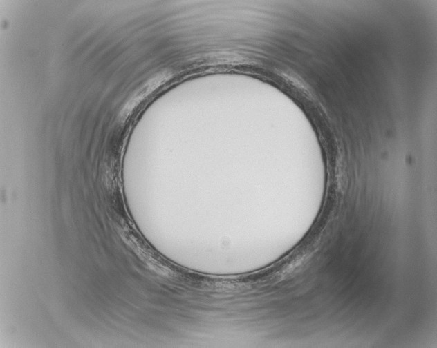 X0000052580873200507292029