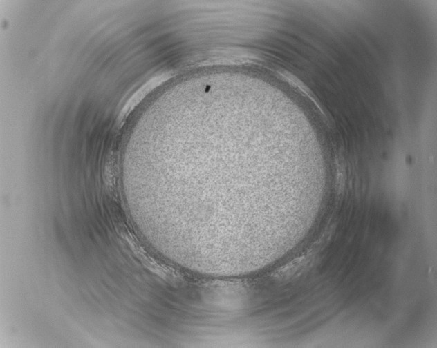 X0000052580874200507292029