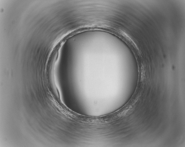 X0000052580876200507292029