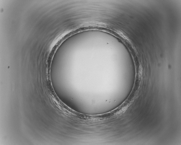 X0000052580877200507292029