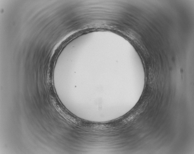 X0000052580880200507292029