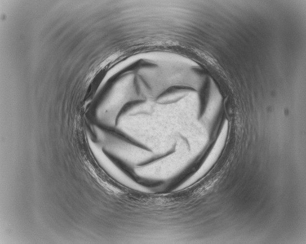 X0000052580881200507292029