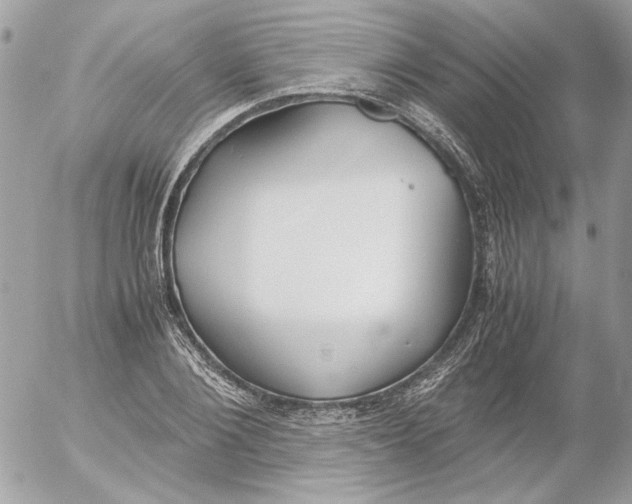 X0000052580884200507292029