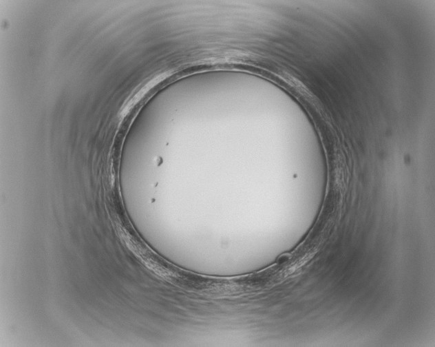 X0000052580885200507292029