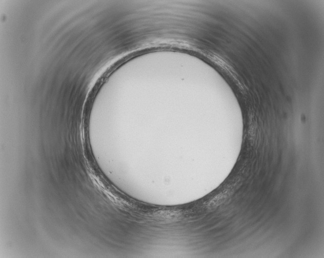 X0000052580888200507292029